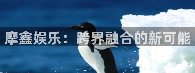 长运娱乐代理：摩鑫娱乐：跨界融合的新可能