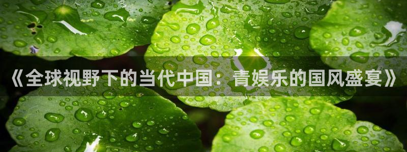 长运娱乐入口：《全球视野下的当代中国：青娱乐的国风盛宴》